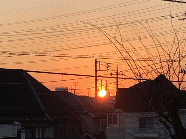 sunset-yuppie_5658a.jpg